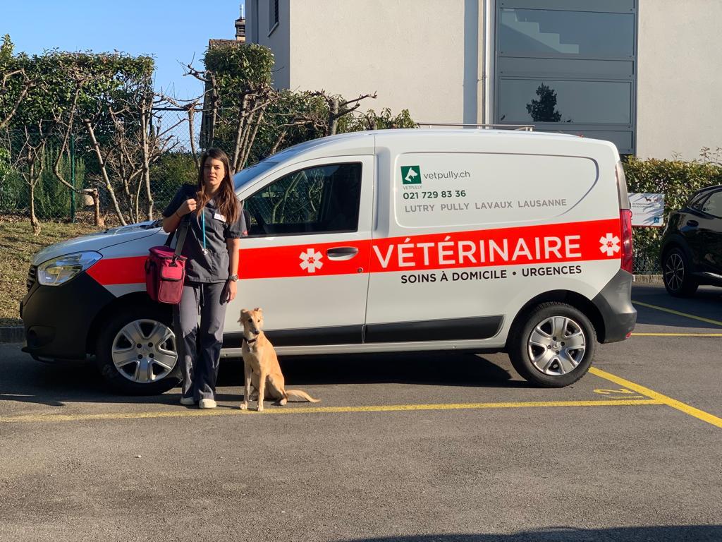 Vétérinaire à domicile Lausanne